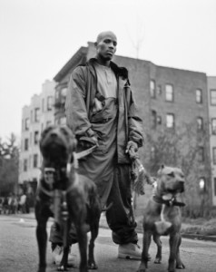 DMX